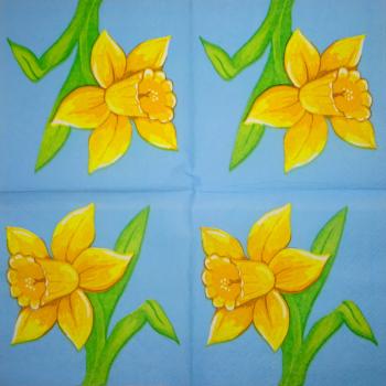 184 Narzissen - 3 lagig -